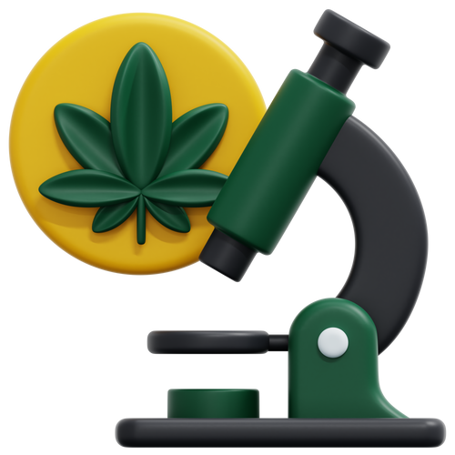 icon_policy